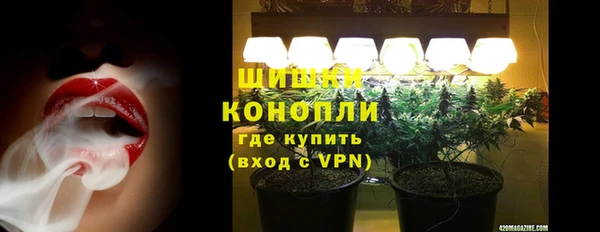 молекула духа Аркадак
