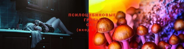 молекула духа Аркадак