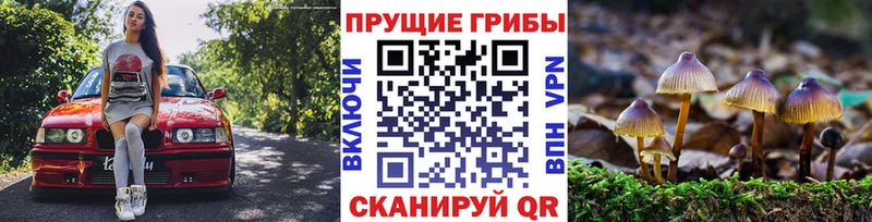 наркотики  Крым  Галлюциногенные грибы прущие грибы 